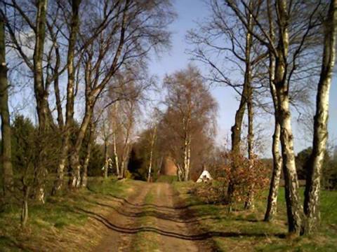 Bovendorpstraat Zeddam Montferland Bergh