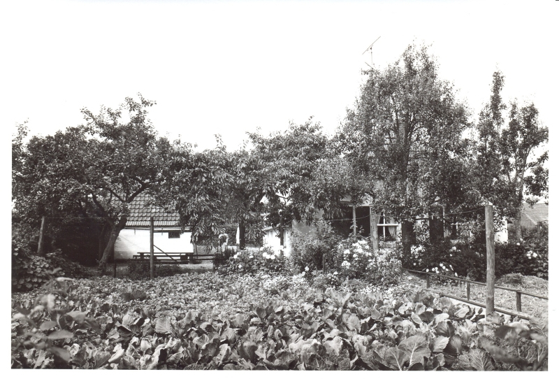 Bovendorpstraat Zeddam Montferland Bergh