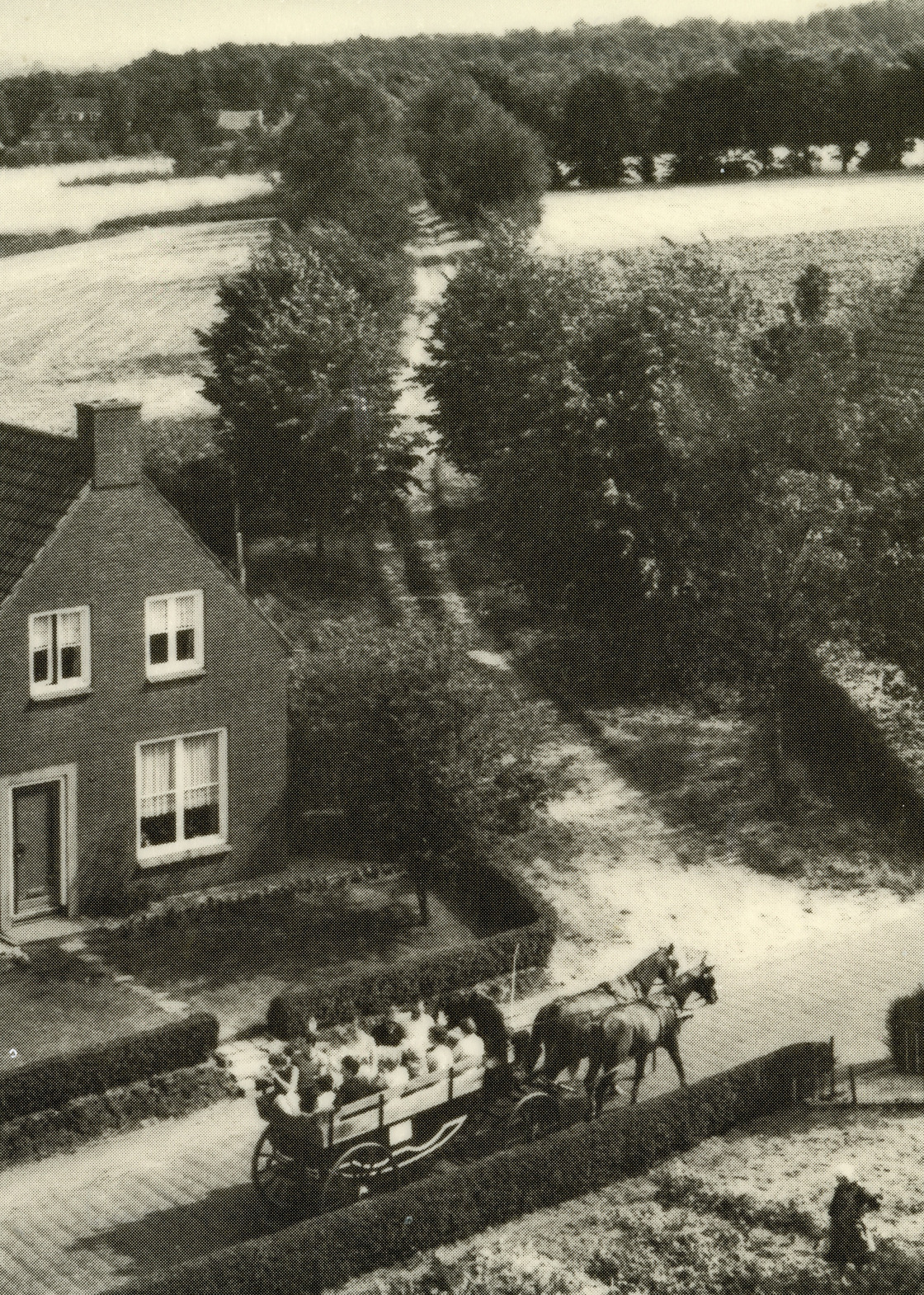 Bovendorpstraat Zeddam Montferland Bergh